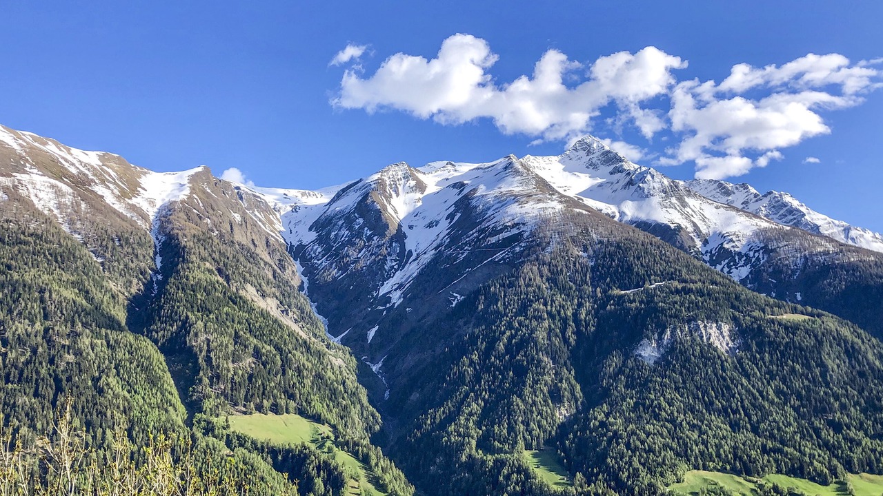 Photo of Others in Martisberg