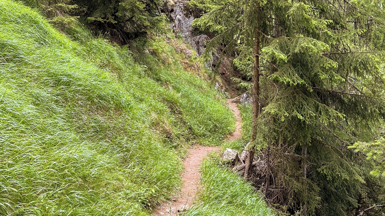 Photo of Others in Martisberg