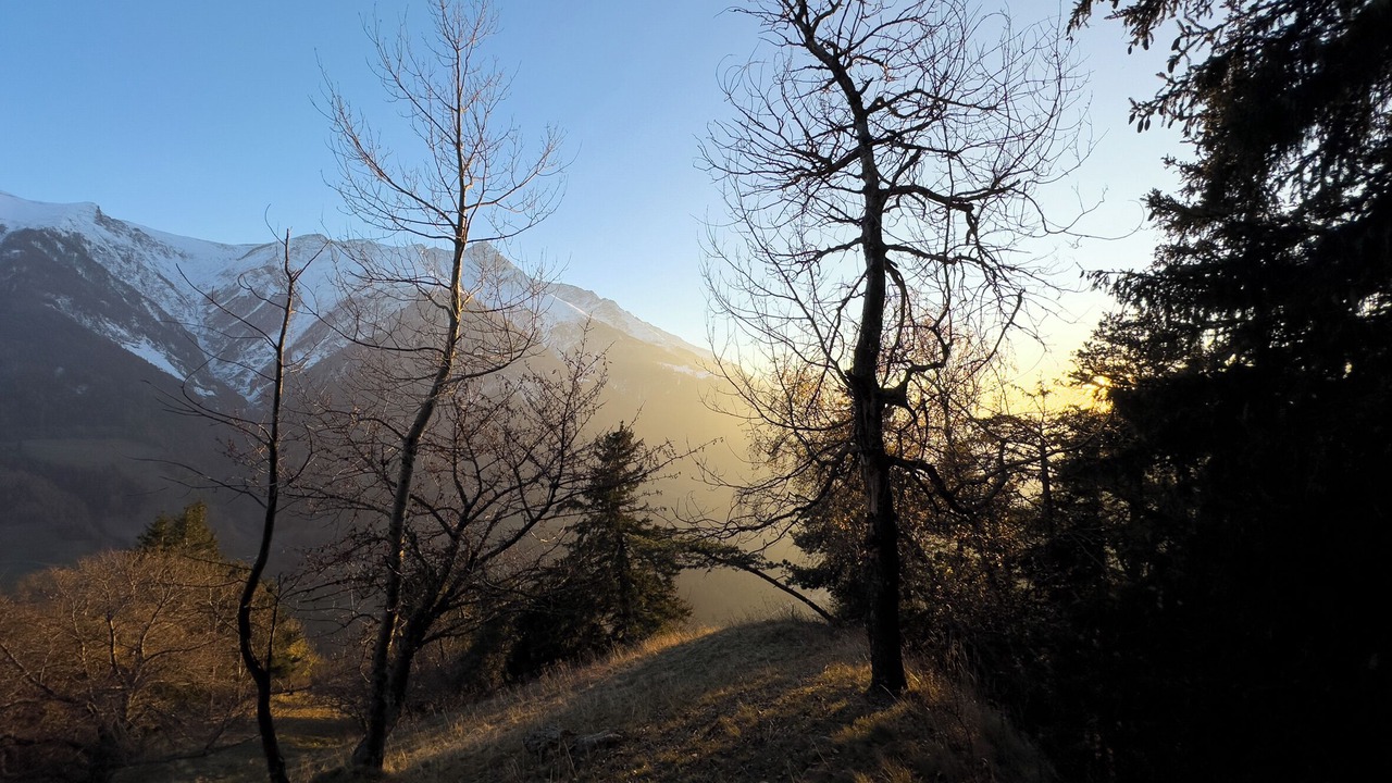 Photo of Others in Martisberg