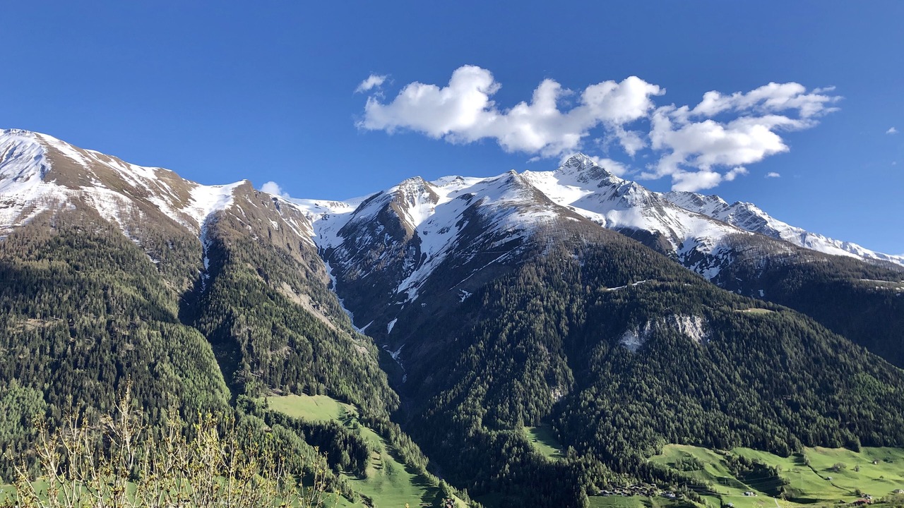 Photo of Others in Martisberg