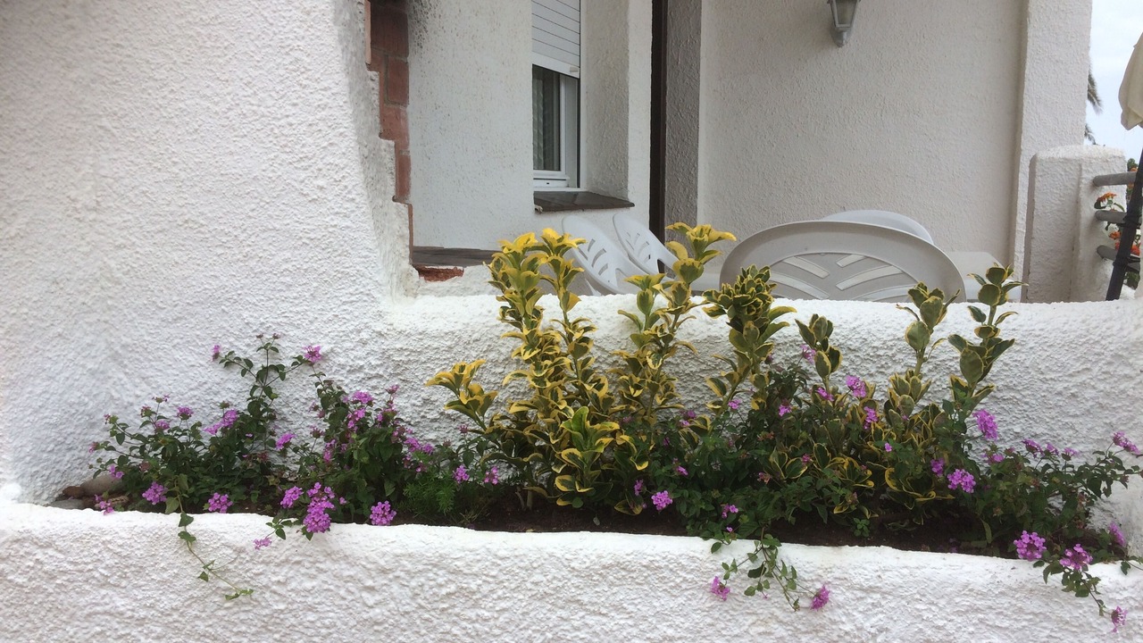 Photo of Patio Balcony in Parc de Mont-roig