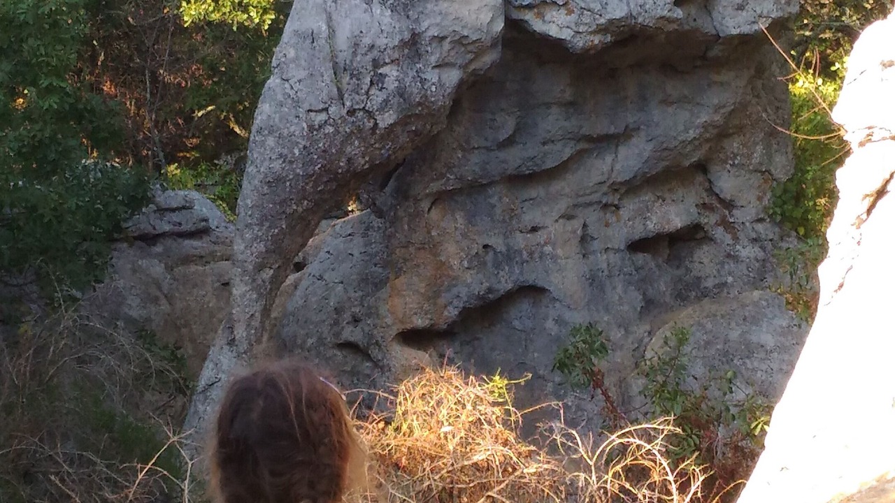 Photo of Outdoor in Saint-Paul-le-Jeune