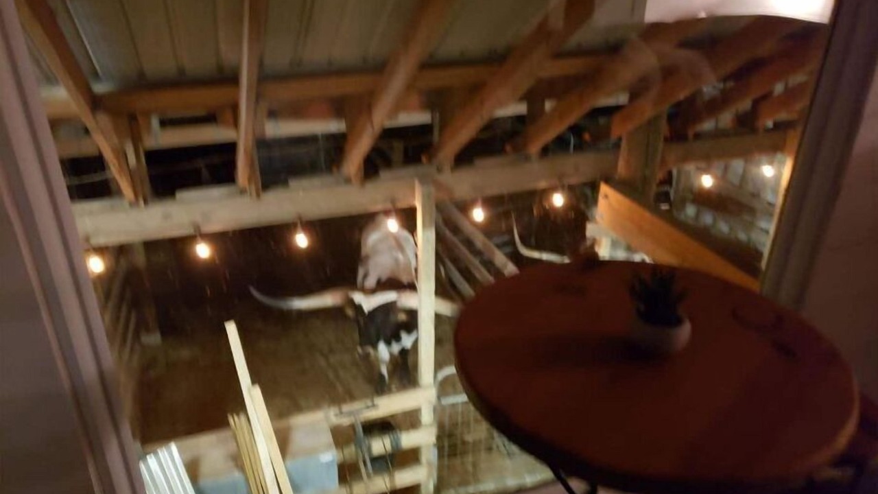 Photo of Others in Pflugerville