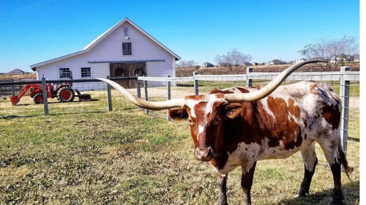 Photo of Others in Pflugerville