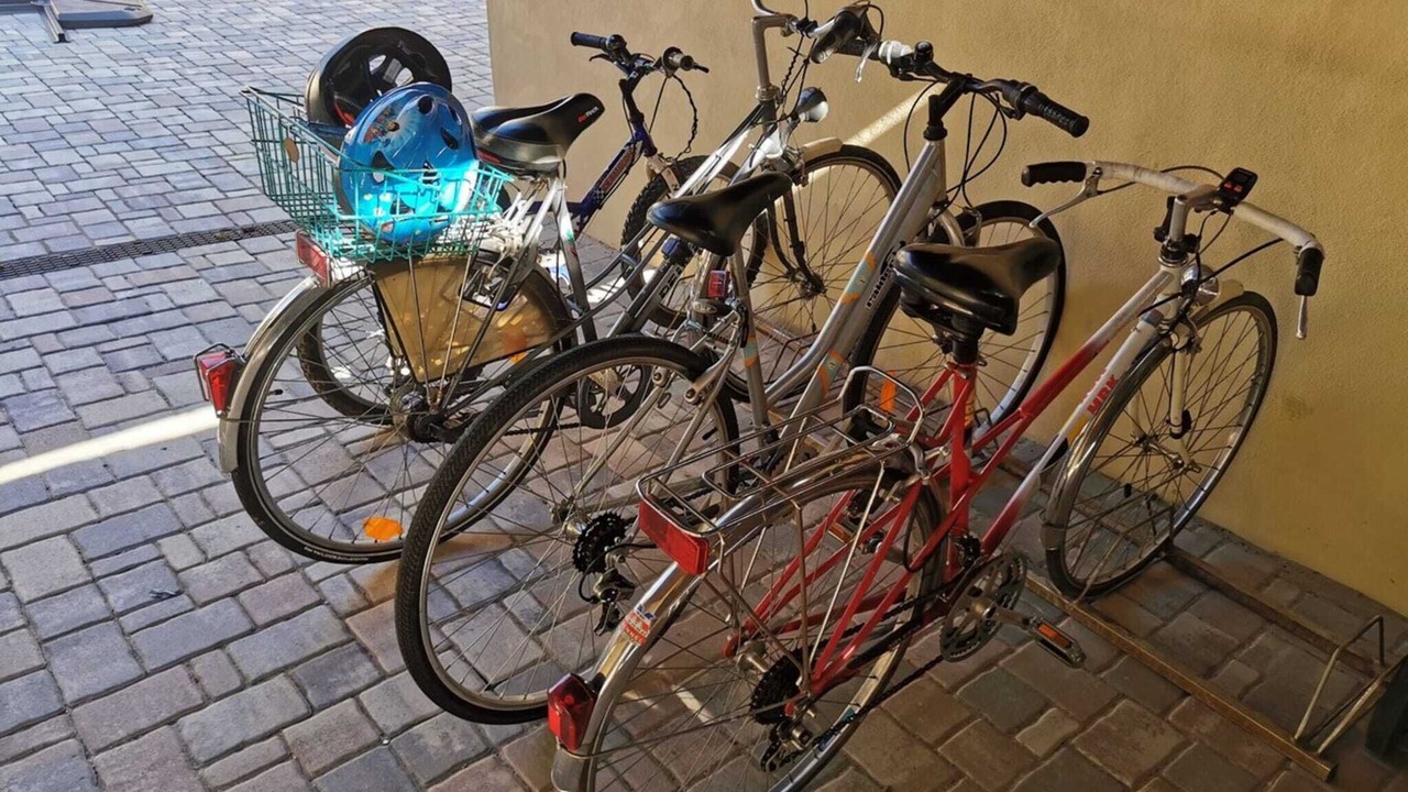 Photo of Outdoor in Kirrwiller