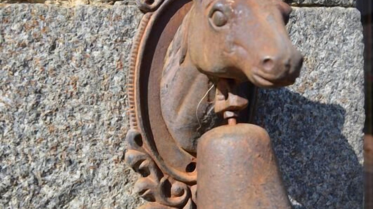 Photo of Outdoor in Plerguer