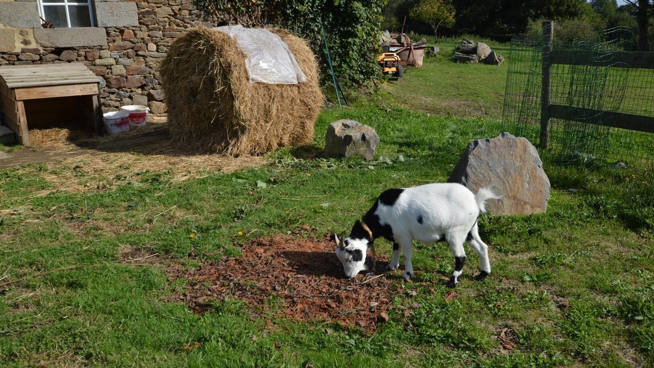 Photo of Outdoor in Plerguer