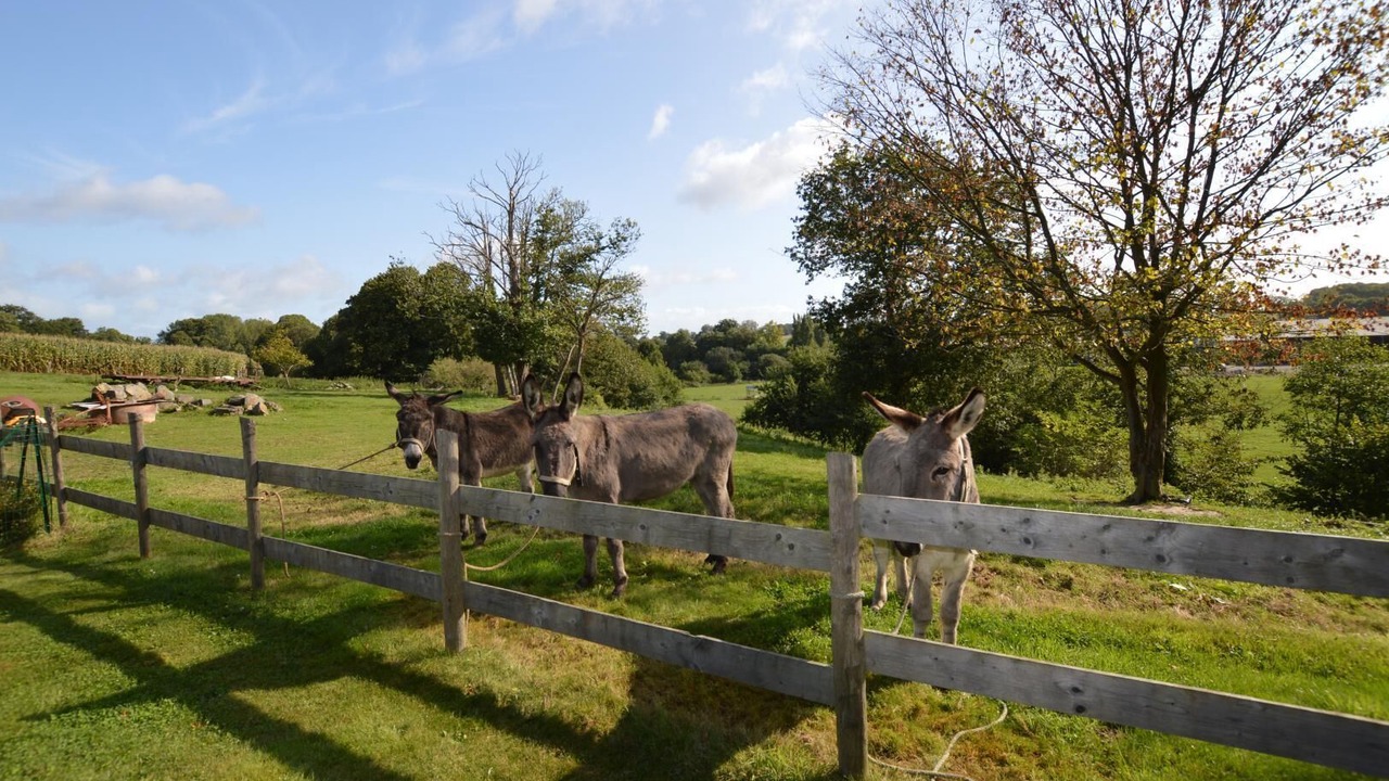 Photo of Outdoor in Plerguer
