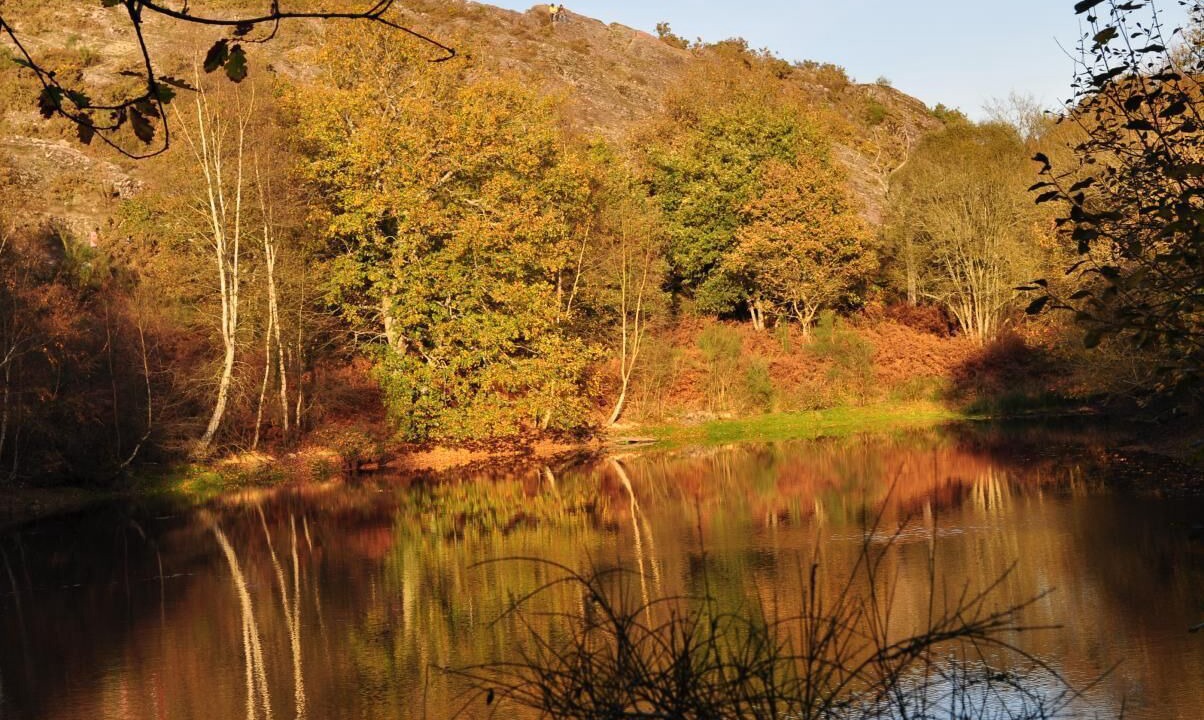 Photo of Outdoor in Saint-Thurial