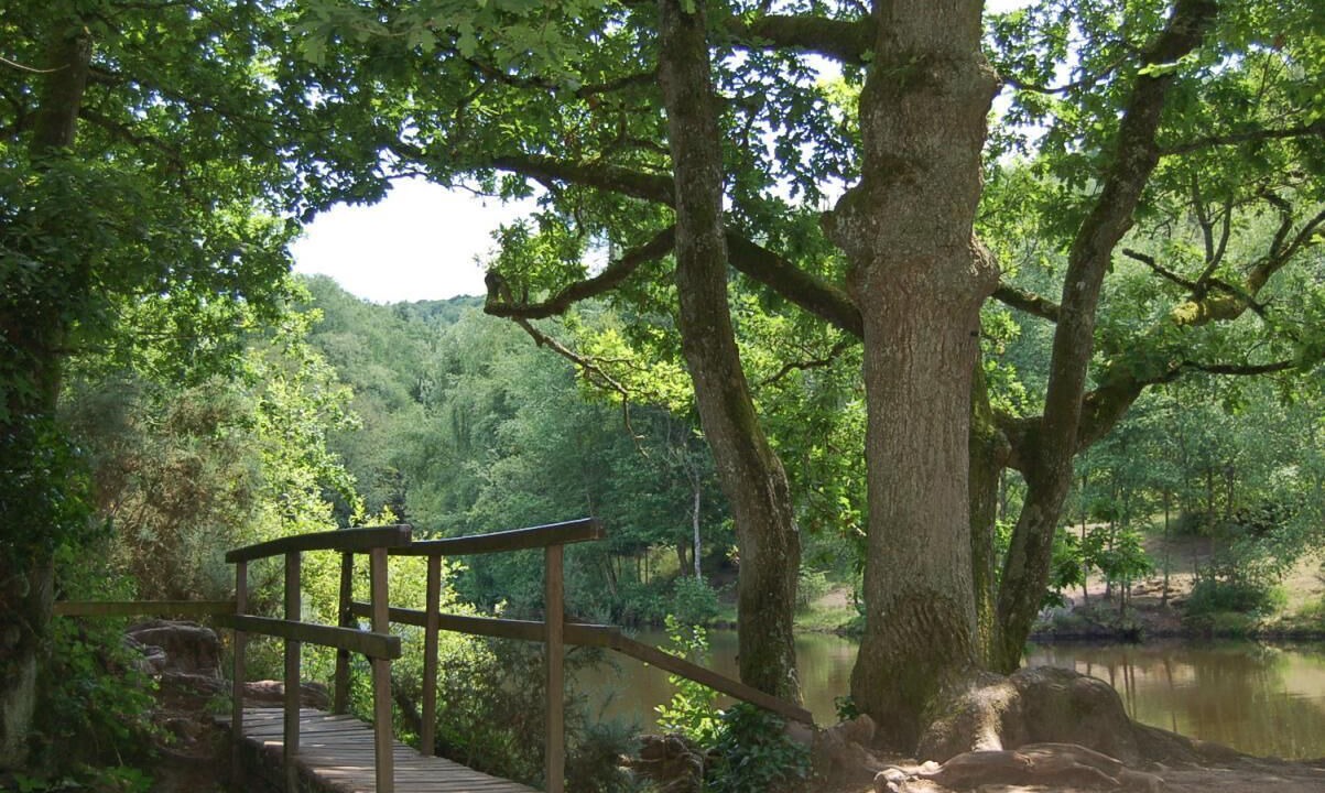 Photo of Outdoor in Saint-Thurial