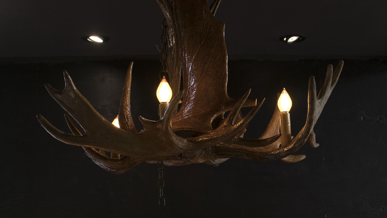 Photo of Others in Woodstock