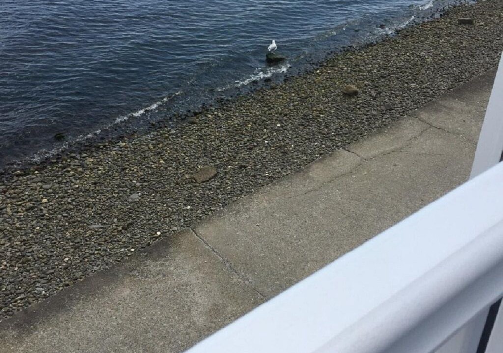 Photo of Outdoor in Portsmouth