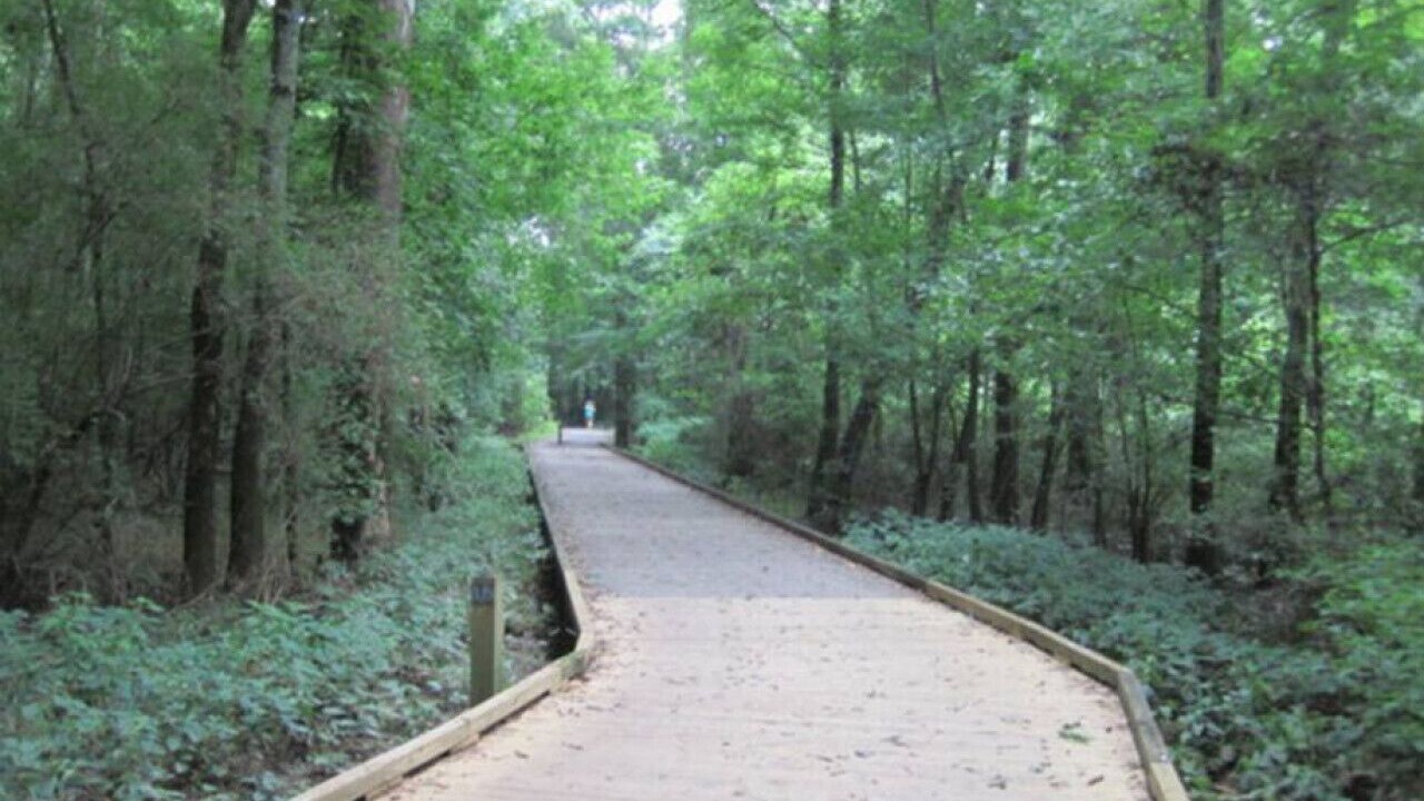 Photo of Outdoor in Charlotte
