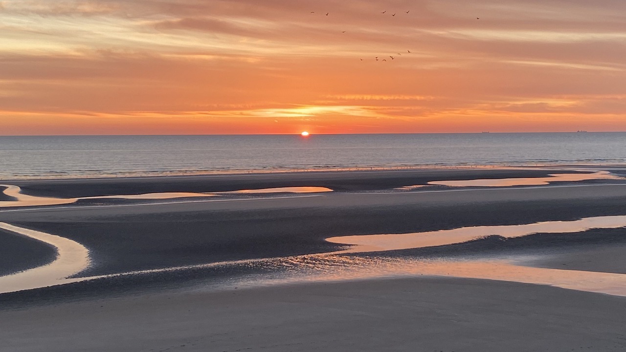 Photo of Others in Equihen-Plage