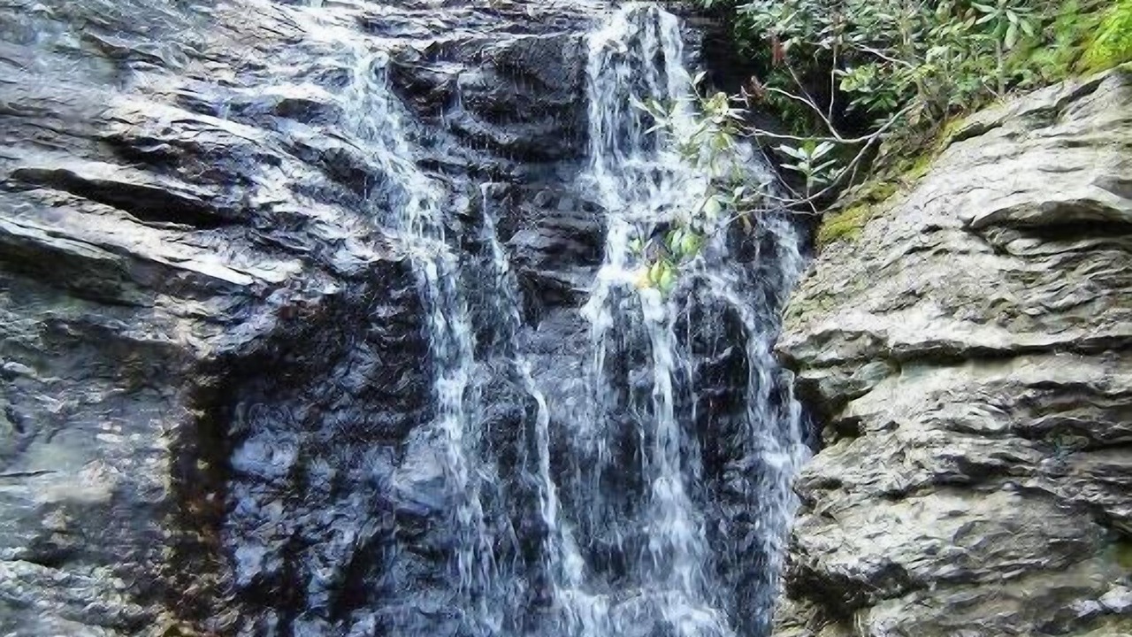 Photo of Outdoor in Piney Creek