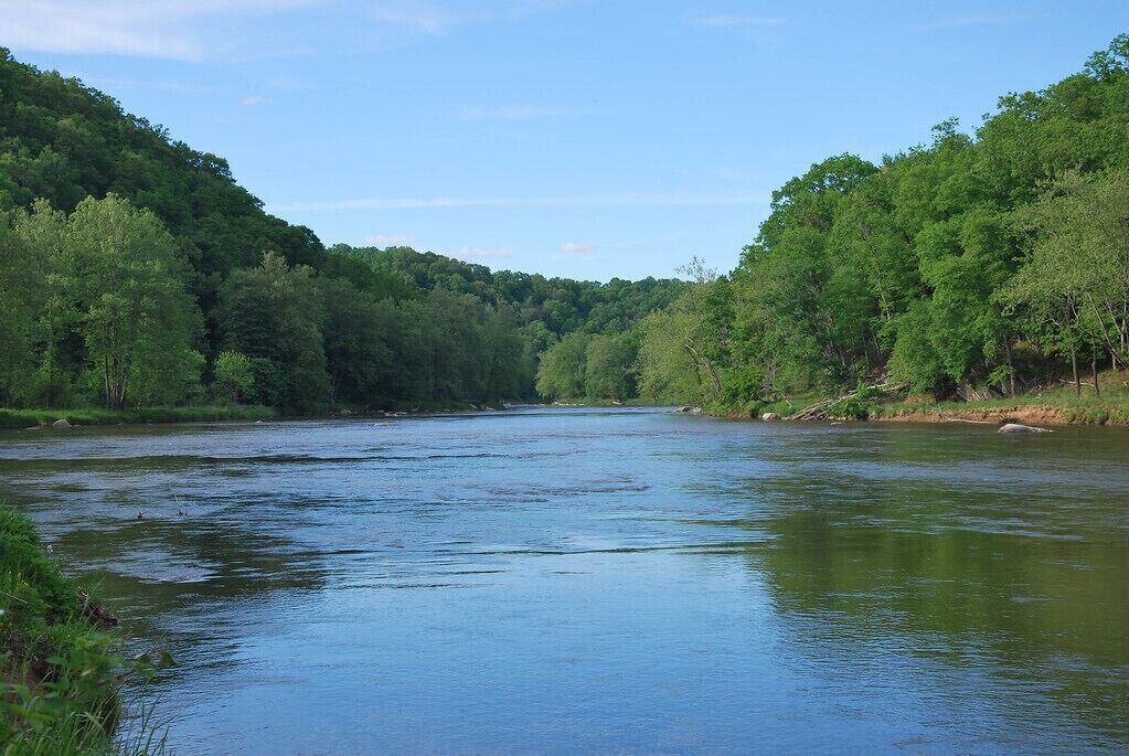 Photo of Others in Piney Creek