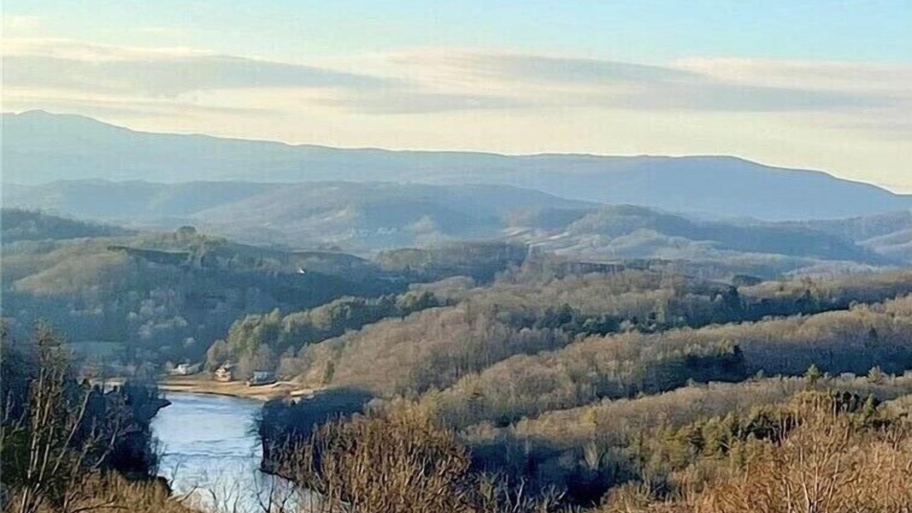 Photo of Others in Piney Creek