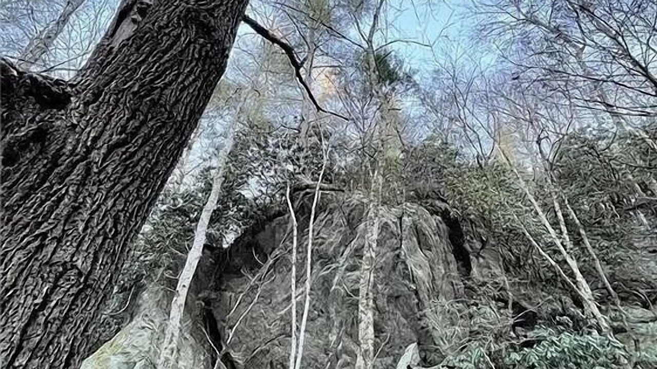 Photo of Outdoor in Piney Creek