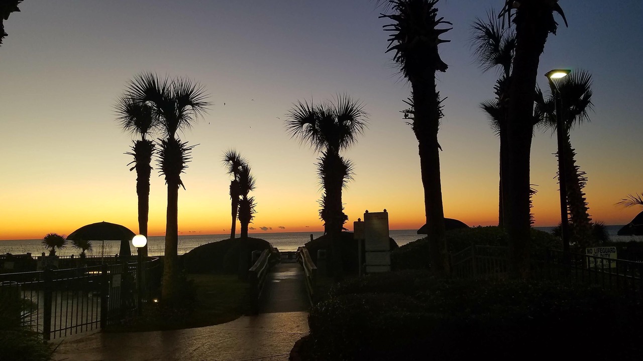 Photo of Outdoor in Myrtle Beach