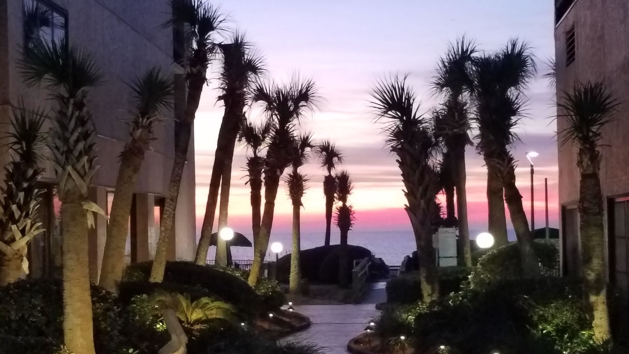 Photo of Outdoor in Myrtle Beach