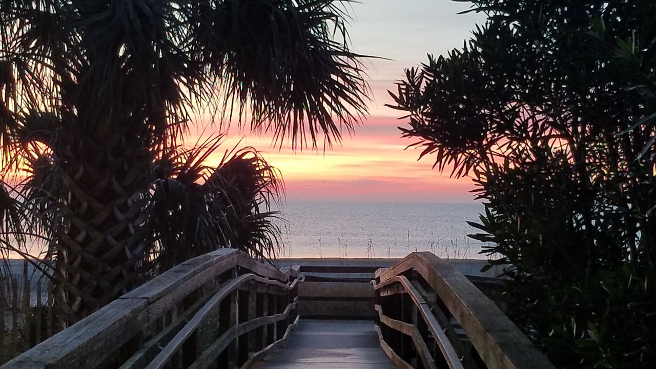 Photo of Outdoor in Myrtle Beach