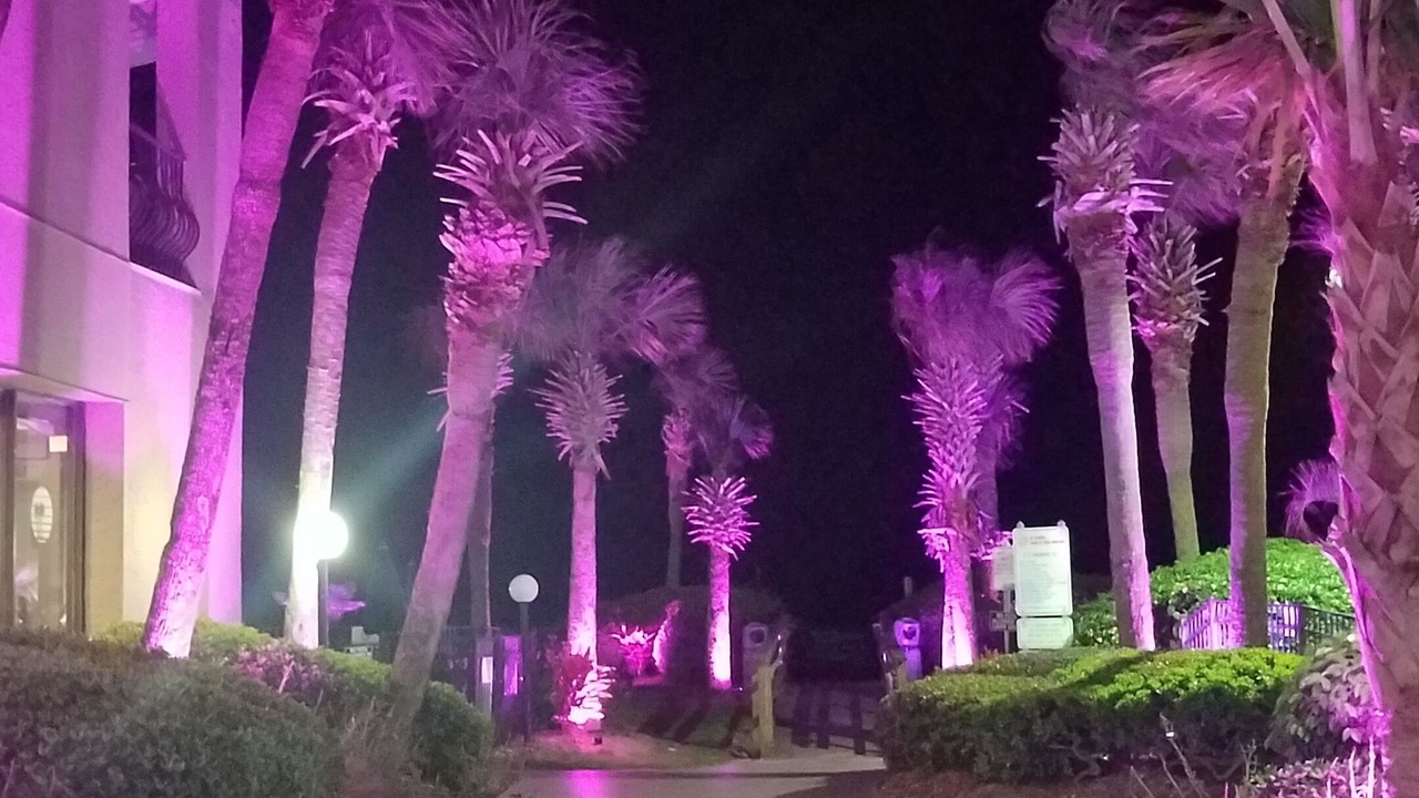 Photo of Outdoor in Myrtle Beach