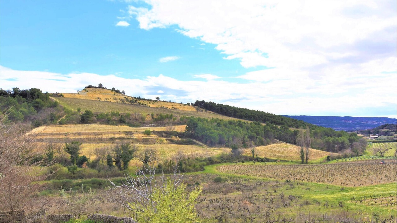 Photo of Bedroom in Vinsobres
