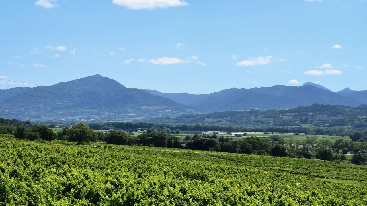 Photo of Others in Vinsobres