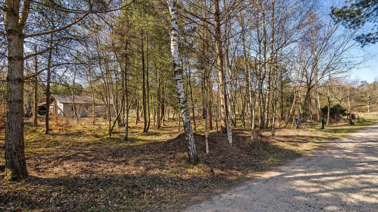 Photo of Others in Helberskov Strand