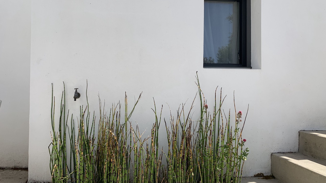 Photo of Outdoor in L'Epine