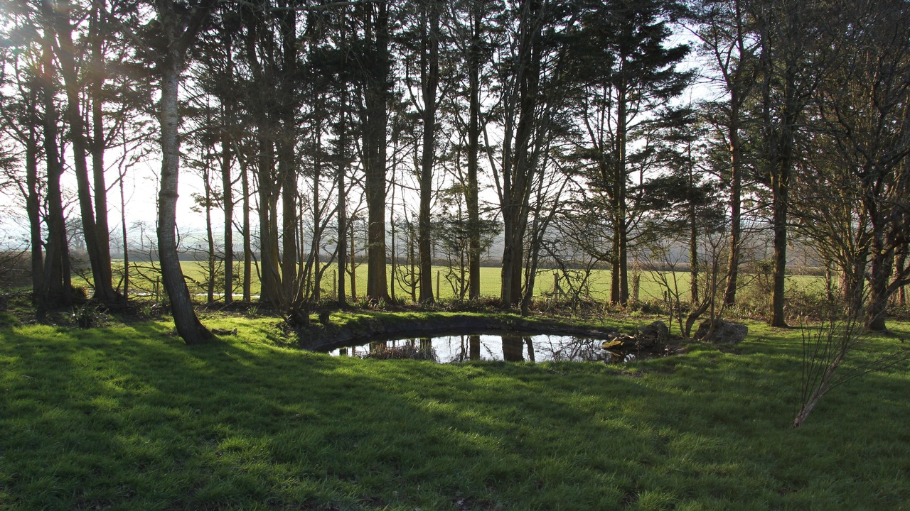 Photo of Others in St. Giles on the Heath