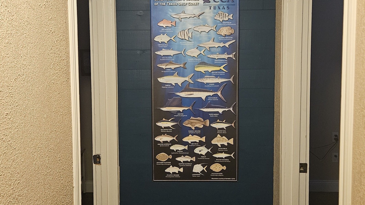 Photo of Others in Port O Connor