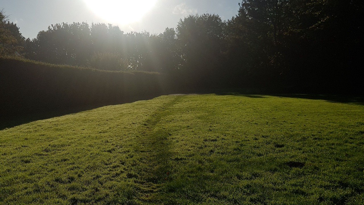 Photo of Others in Low Catton