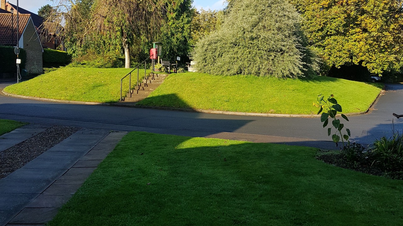 Photo of Others in Low Catton