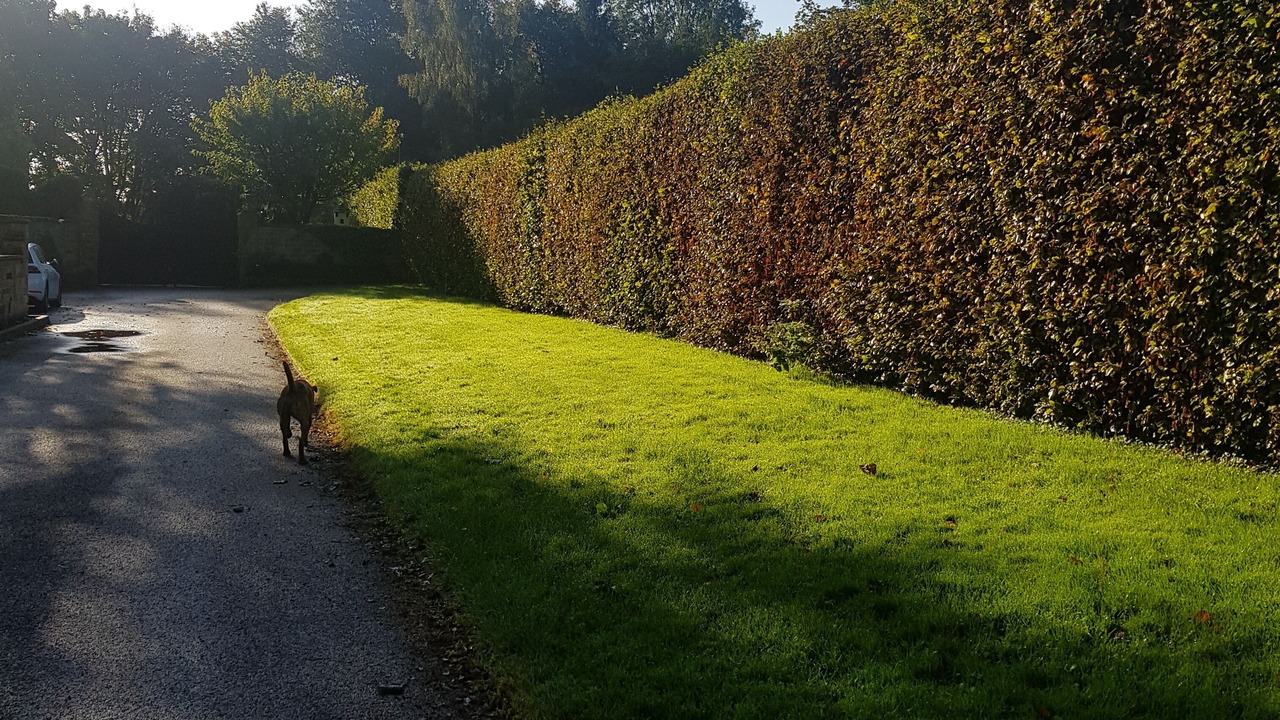 Photo of Others in Low Catton