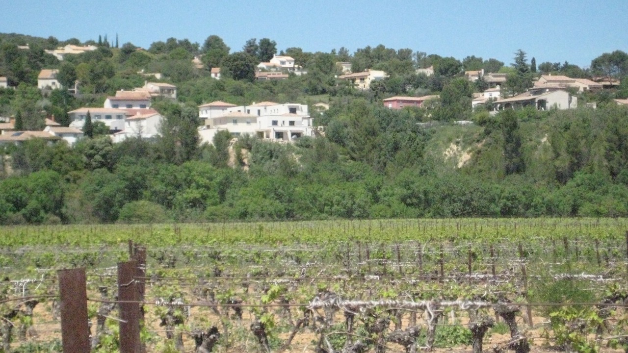 Photo of Outdoor in Combaillaux