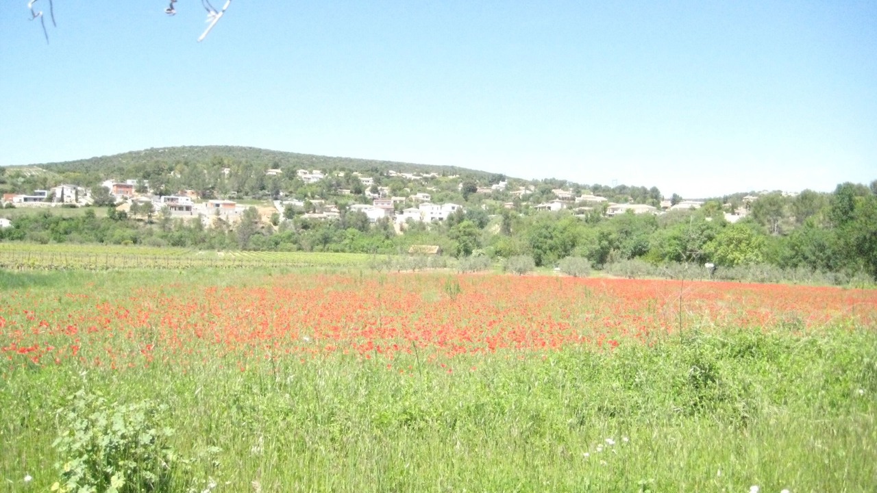 Photo of Outdoor in Combaillaux