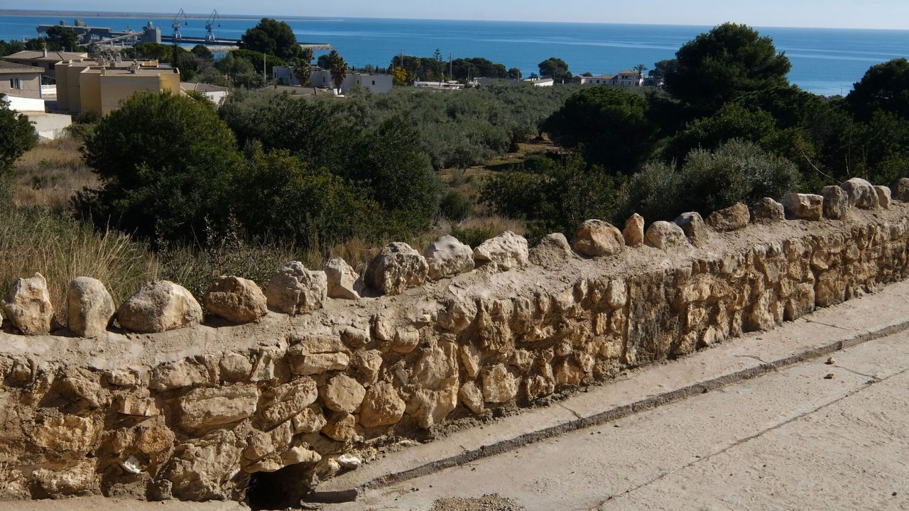 Photo of Others in Alcanar