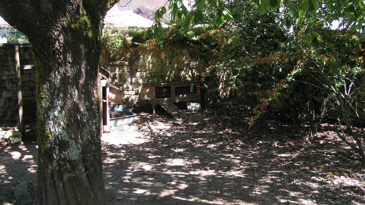 Photo of Outdoor in Duil-sur-le-Mignon