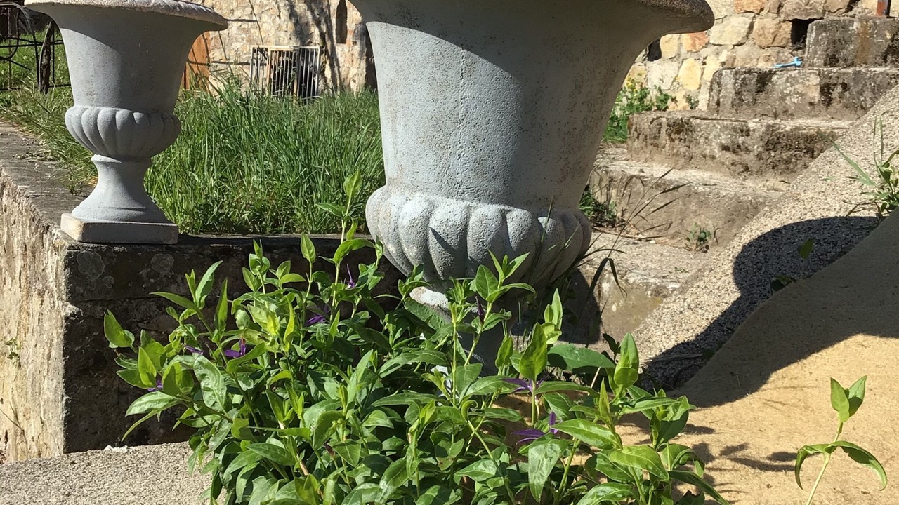 Photo of Outdoor in Vals-les-Bains