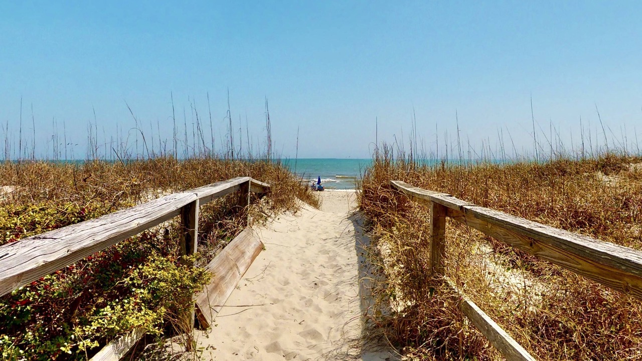 Photo of Others in Carolina Beach