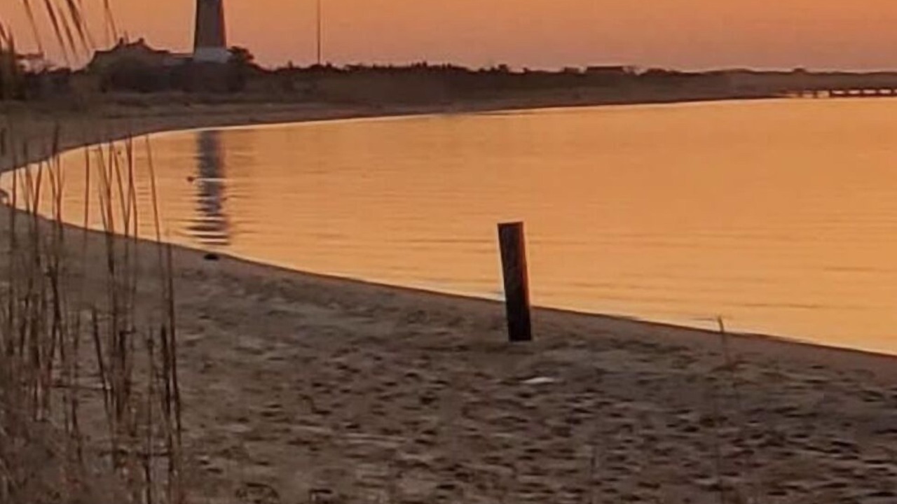 Photo of Others in Kismet