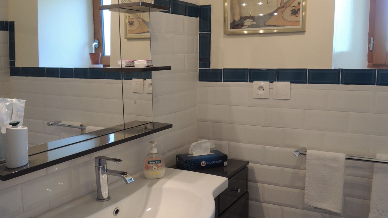 Photo of Bathroom in La Ferriere-en-Parthenay