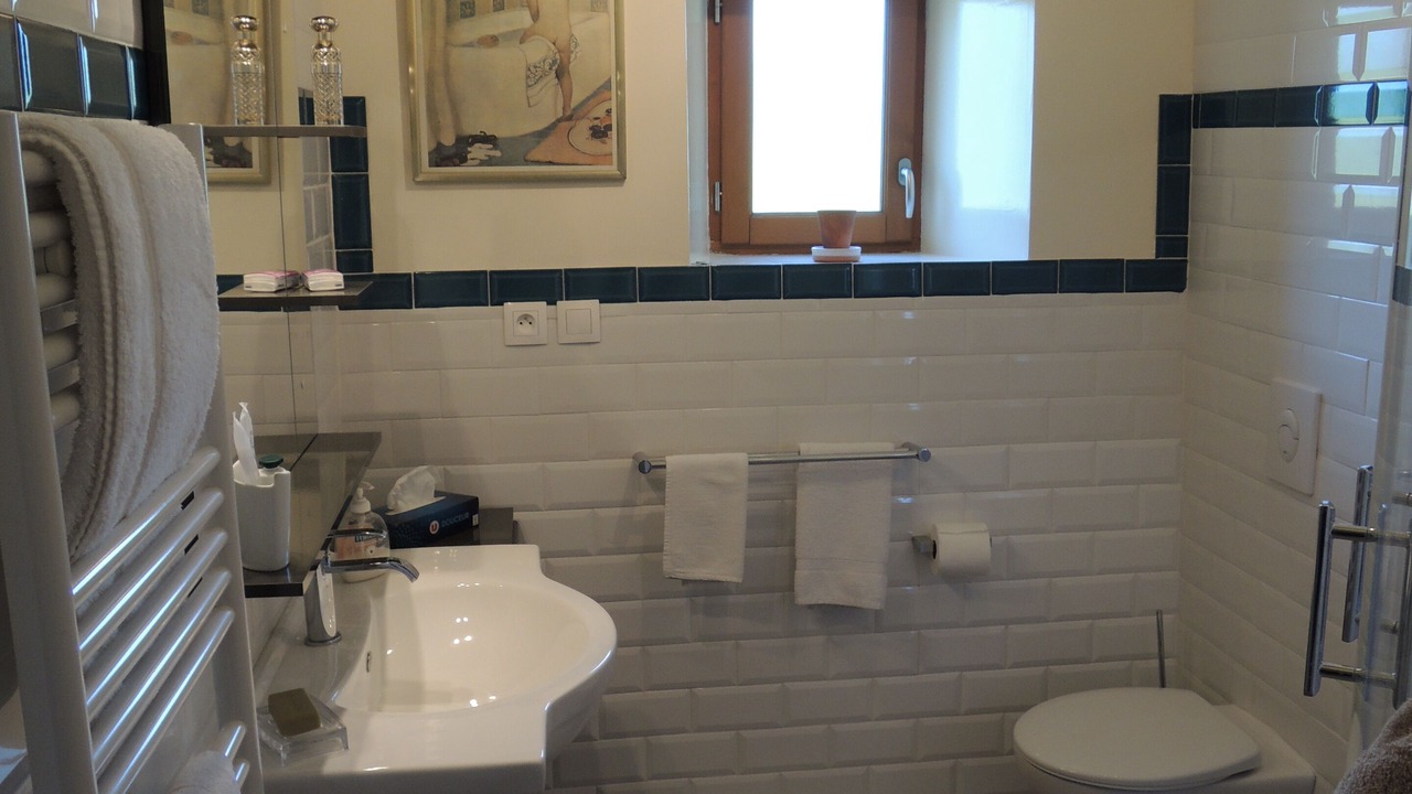 Photo of Bathroom in La Ferriere-en-Parthenay