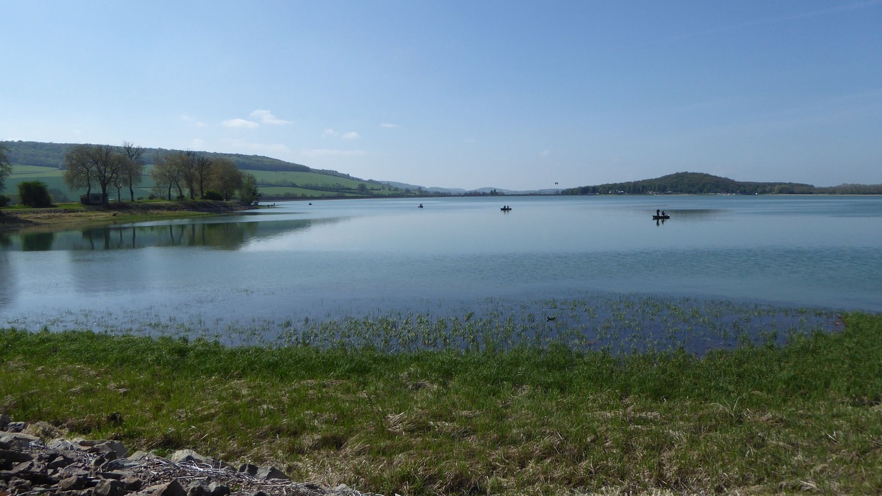 Photo of Others in Commarin