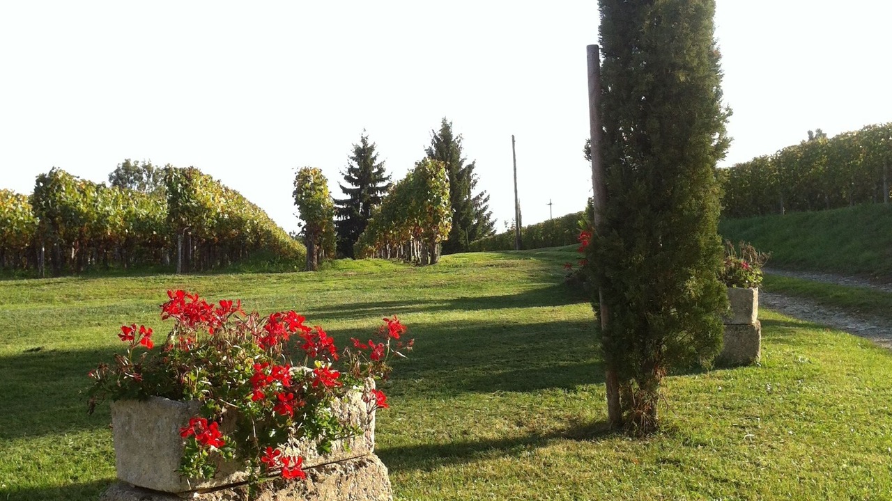 Photo of Outdoor in Bergerac