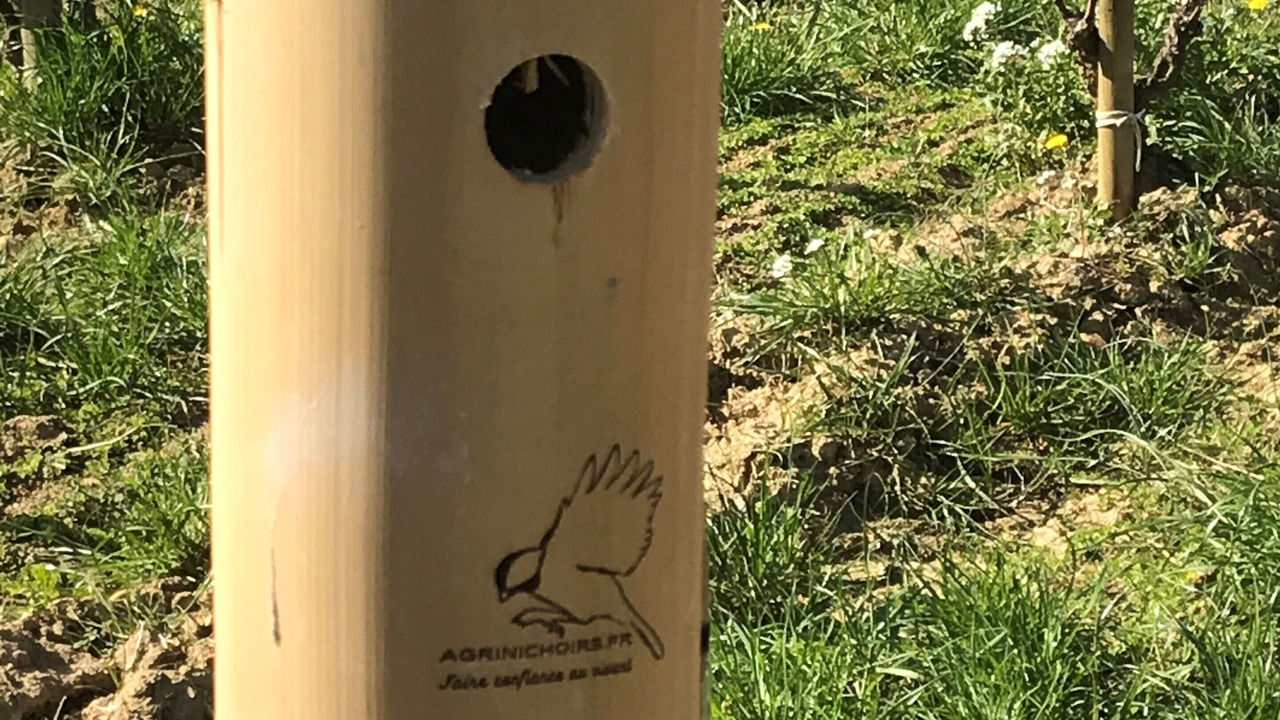 Photo of Outdoor in Bergerac