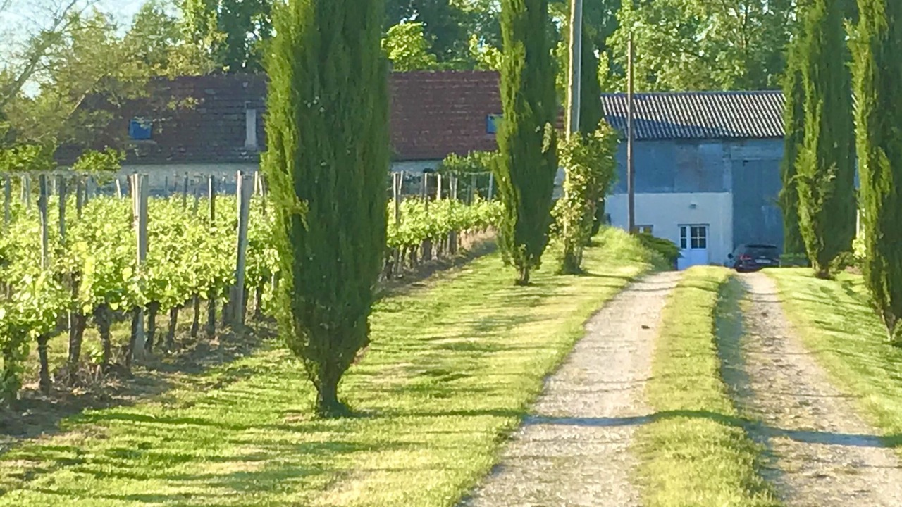 Photo of Outdoor in Bergerac