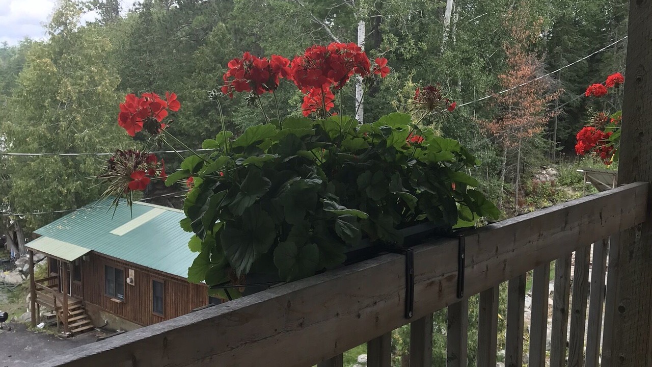 Photo of Others in Sioux Narrows Nestor Falls