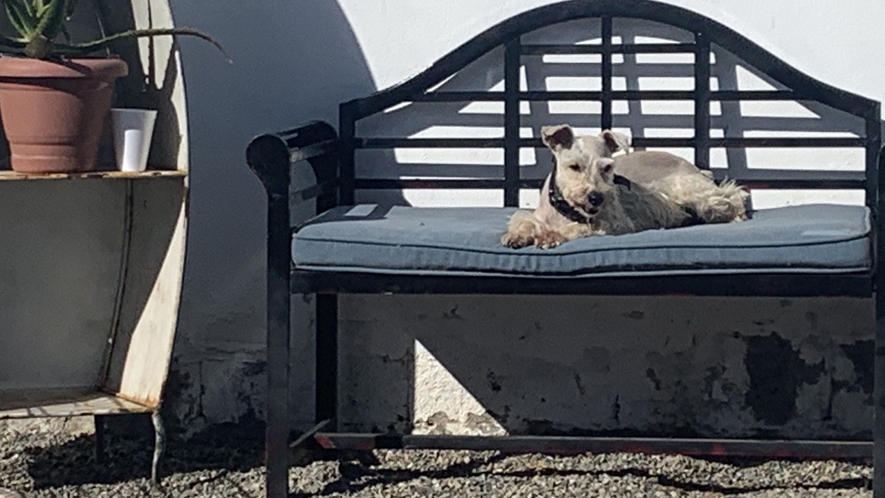 Photo of Outdoor in Lengueta Arenosa